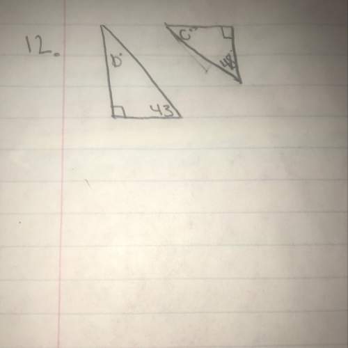 Tell wether the the triangles are similar