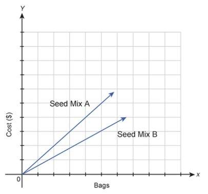 20 this graph shows the costs of purchasing two types of bird seed mix. which statement is true?