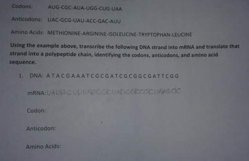 How do you transfer mrna into codons ? i'm so confused : (