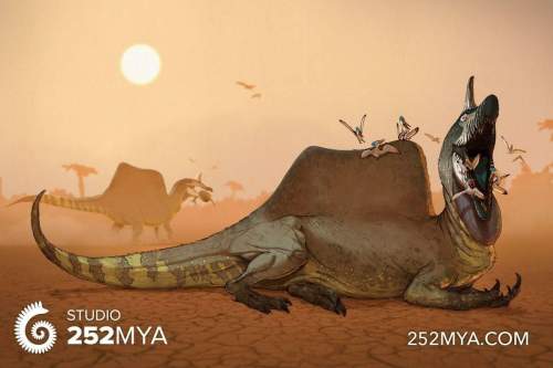 What dinosaur was related to spinosaurus aegyptiacus and what was the size
