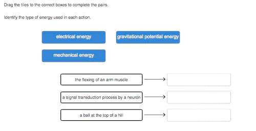 Identify the type of energy used in each action. the flexing of an arm muscle: a signal transducti