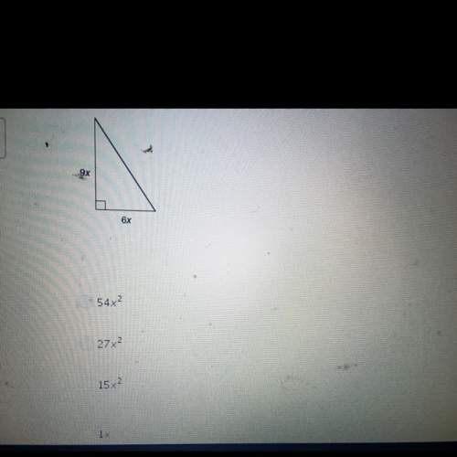 What is the the area of this triangle expressed as a monomial?