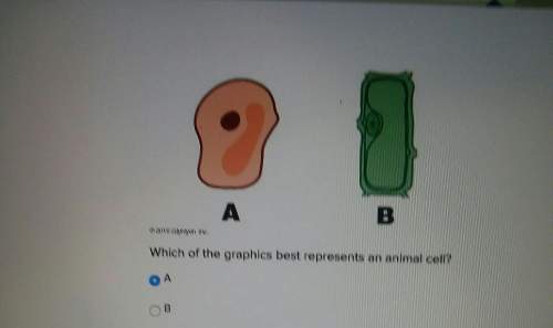 Which of the graphics best represents an animal cell a b