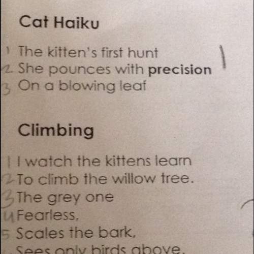What does precision mean in this poem cat haiku