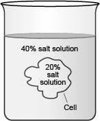 The diagram below shows a cell placed in a solution.a cell is shown placed inside a beaker. it is la