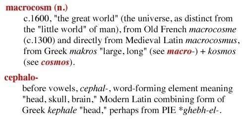 Read the following entries from the online etymology dictionary based on the information above, wha