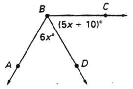 Find the value of x and the measure of angle cbd