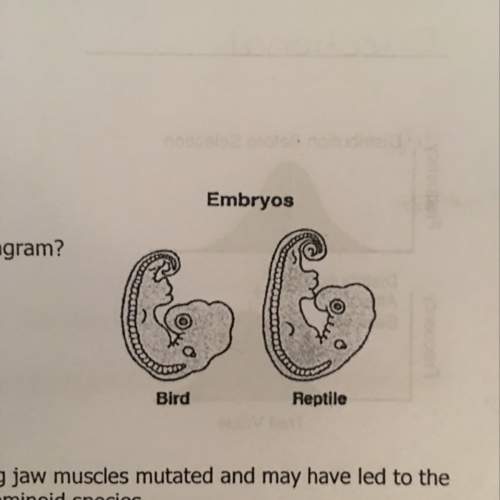 The diagram to the right illustrates an embryonic stage of two organisms. which of the following can