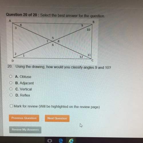 Use the drawing, how would you classify angles 9 and 10