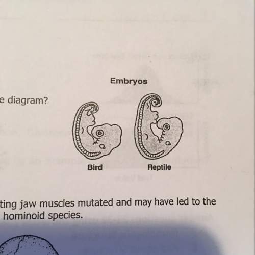 The diagram to the right illustrates an embryonic stage of two organisms. which of the following can