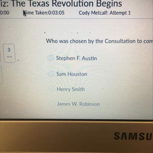 Who was chosen by the consultation to command the regular army of texas