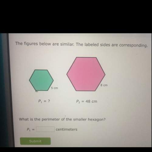 What is the perimeter of the smaller hexagon