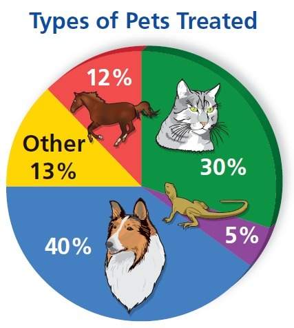Pet hospital the circle graph shows the types of pets treated at a pet hospital. how many of the nex