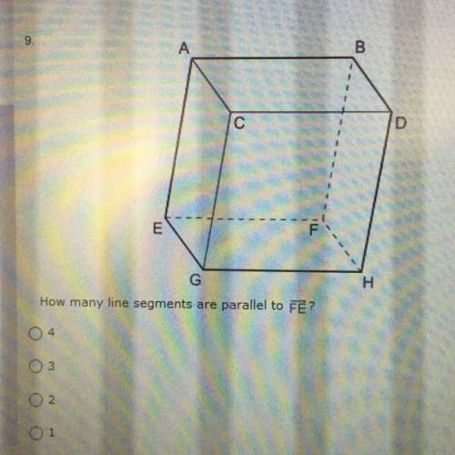 How many line segments are parallel to fe
