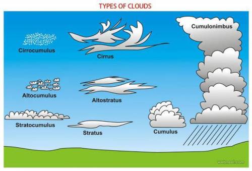 Aspecial cloud called  is formed close to the ground when moisture condenses as air is cooled from b