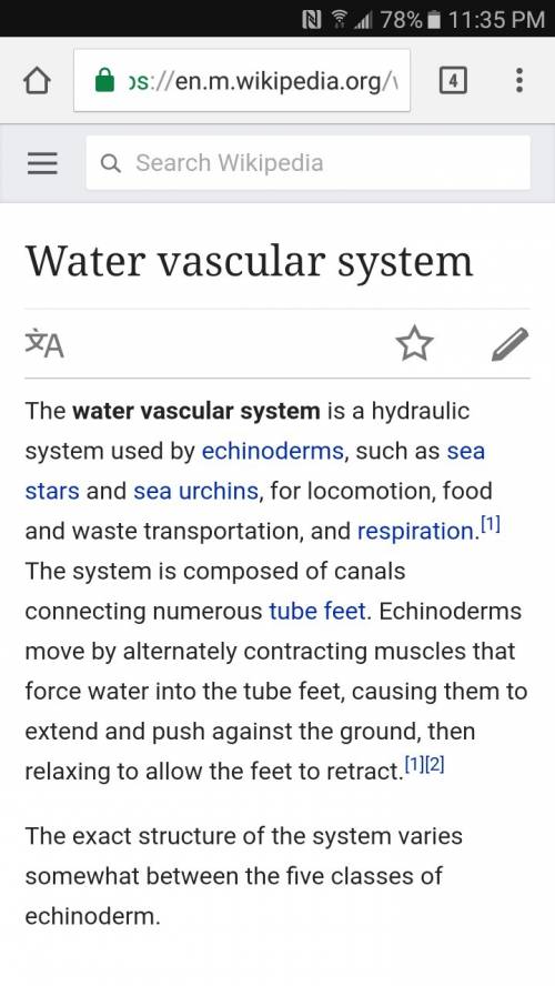 The echinoderms have a water vascular system. it