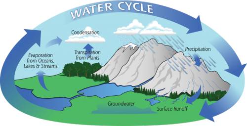 How does precipitation return to the water cycle