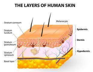 What is the greatest danger to a patient who has had damage to the skin?  excessive muscle contracti