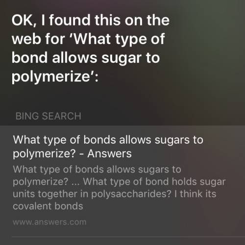 What type of bond allows sugars to polymerize?