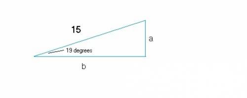 What are the lengths of the legs of a triangle in which one acute angle measures 19 degrees and the