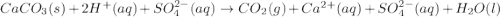 CaCO_3(s)+2H^+(aq)+SO_4^{2-}(aq)\rightarrow CO_2(g)+Ca^{2+}(aq)+SO_4^{2-}(aq)+H_2O(l)