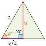 If the length of each side of an equilateral triangle were increased by 50 percent, what would be th