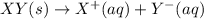 XY(s) \rightarrow X^{+}(aq)+Y^{-}(aq)