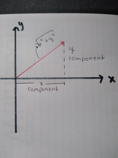 Which of the following statements is true?   a. the components of a vector must be nonzero.  b. a ve