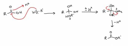 The reaction of carboxylic acids with alcohol in the presence of an acid catalyst yields select one: