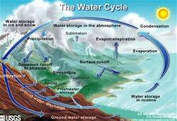 Which is the correct order of processes that occur for water to move from a lake to a cloud and then