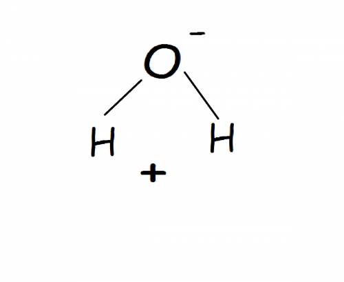 Describe the structure of the water molecule and indicate how this structure is responsible for many