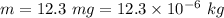 m=12.3\ mg=12.3\times 10^{-6}\ kg