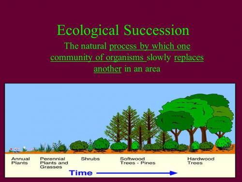 Summarize how ideas about ecological succession and climax communities have changed.  the first peop