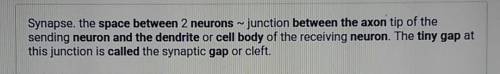 Ais a tiny space between the axon of one neuron and the dendrites or cell body of another neuron. gl