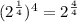 (2^\frac{1}{4} )^4=2^{\frac{4}{4}}