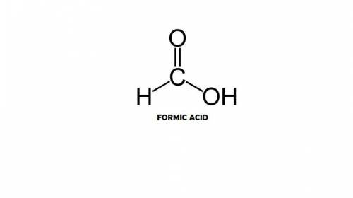 If you experience a painful bee sting, there is formic acid at work. which type of organic compound