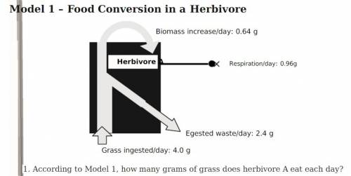 According to model 1, how many grams of grass does herbivore a eat each day?