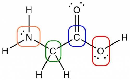 Label the molecular shape around each of the central atoms in the amino acid glycine. hint