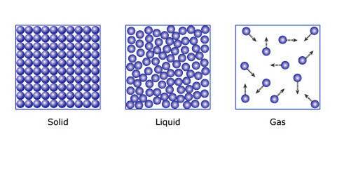 Describe the similarities and differences between the motion of particles in liquids and gases.