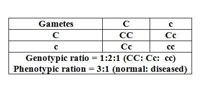 Cystic fibrosis is a genetic disorder. it is a recessive trait that is determined by two alleles. su