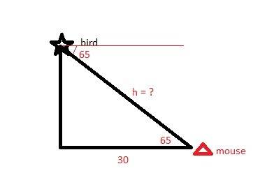 Abird at the top of a tree looks down at a field mouse with an angle of depression of 65°. if the fi
