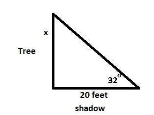 Atree casts a shadow that is 20 feet in length. if the angle of elevation is 32 degrees, which of th