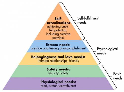 Maslow's hierarchy of needs proposes that we must satisfy basic physiological and safety needs befor