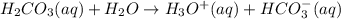 H_2CO_3(aq) +H_2O\rightarrow H_3O^+(aq)+HCO_3^-(aq)