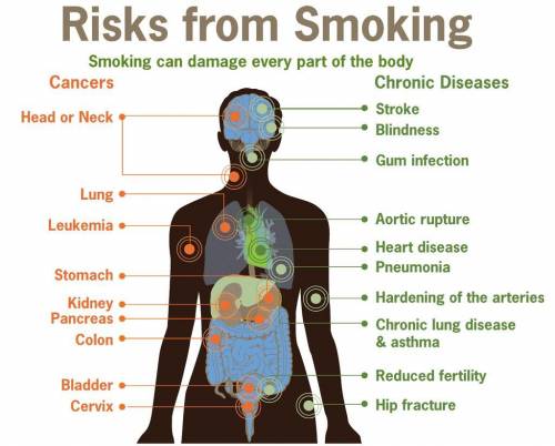 Which of these conditions is a respiratory disease caused by nicotine and tobacco use?
