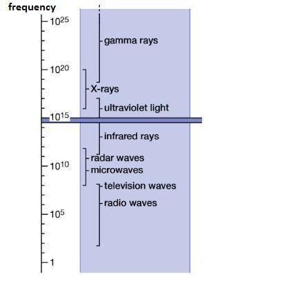What do radio waves and microwaves have in common?  both are found next to visible light on the elec