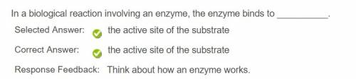 In a biological reaction involving the enzyme binds to what?