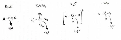 Determine the hybridization around the central atom for each of the following molecules. a) hcn b) c