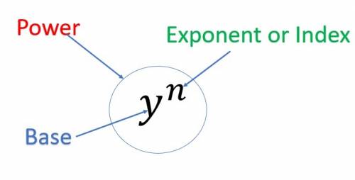 Which term describes the variable y in the expression yn?  a.product b.factor c.base d.exponent