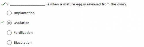 Occurs when a mature egg is released from the ovary.